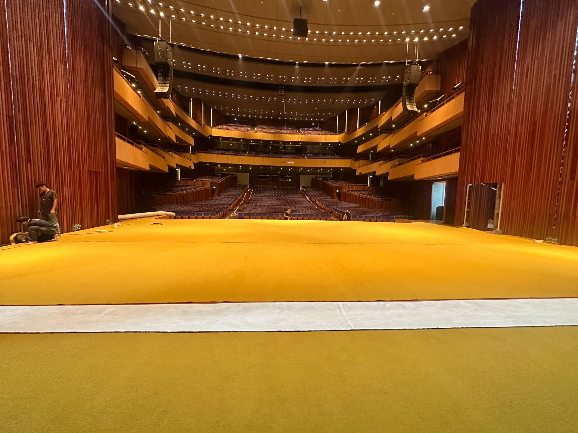 carpet (1)