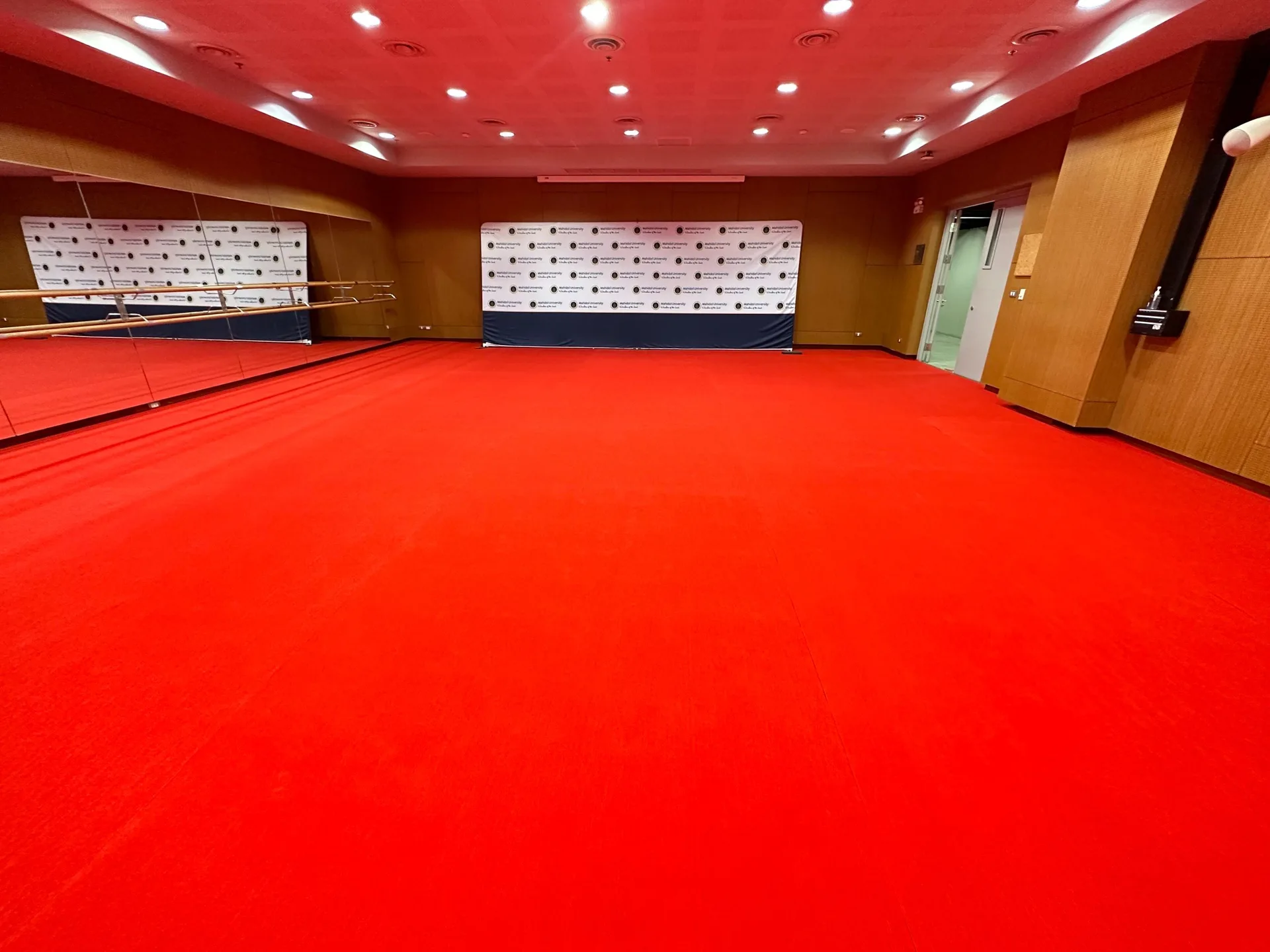 carpet (2)